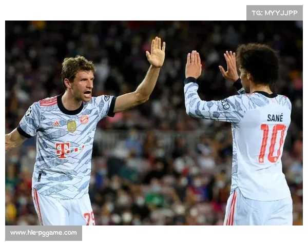 贾里德坎农尼尔二月地面暴击罗德里格斯豪取TKO胜荣膺最佳比赛花红