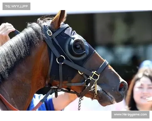 经纪人解释洛佩兹获得冠军挑战权关键因素